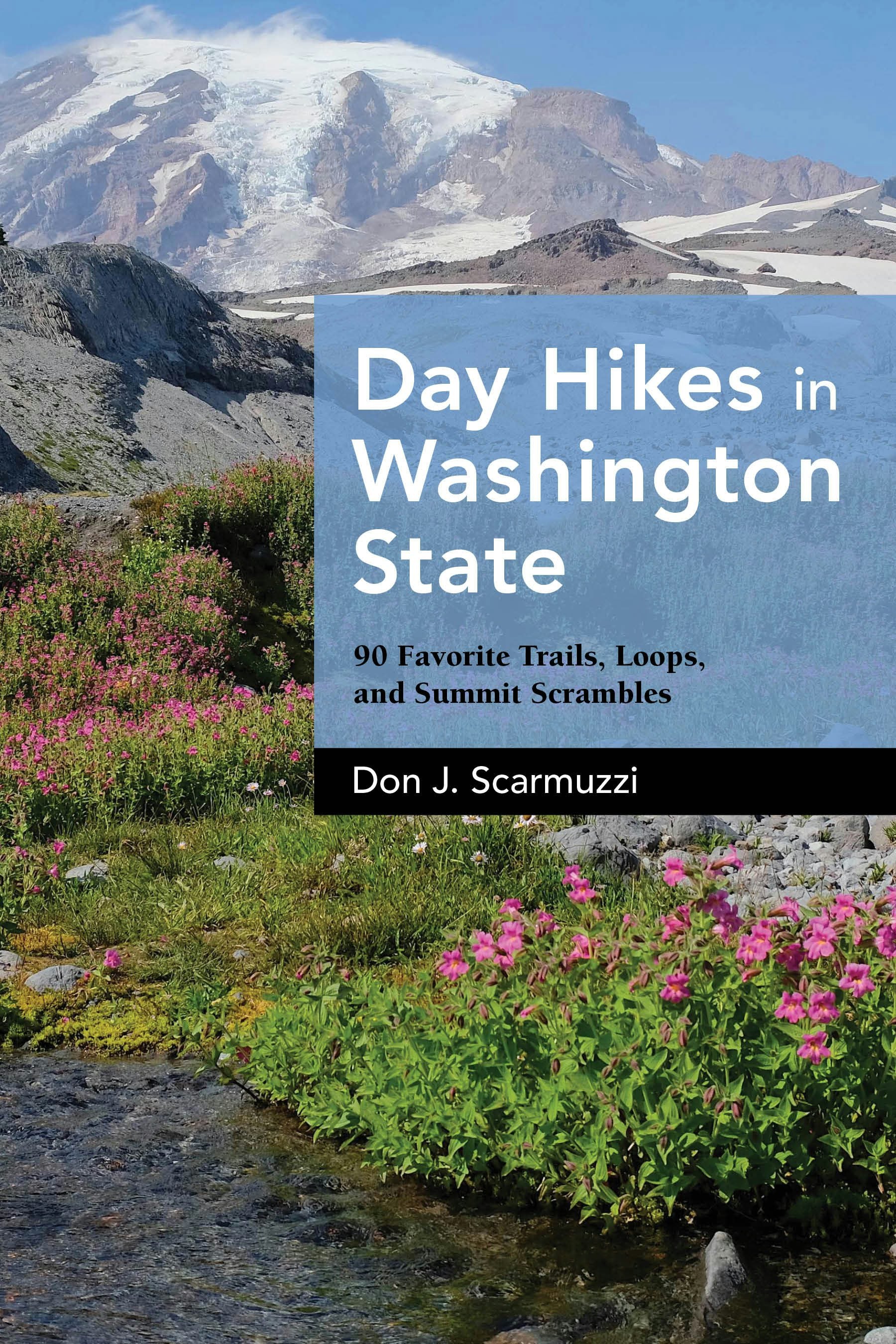 Book cover image for Day Hikes in Washington State ISBN: 9781513267272